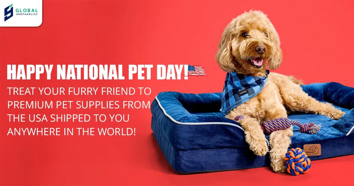 Trending Pet Products 